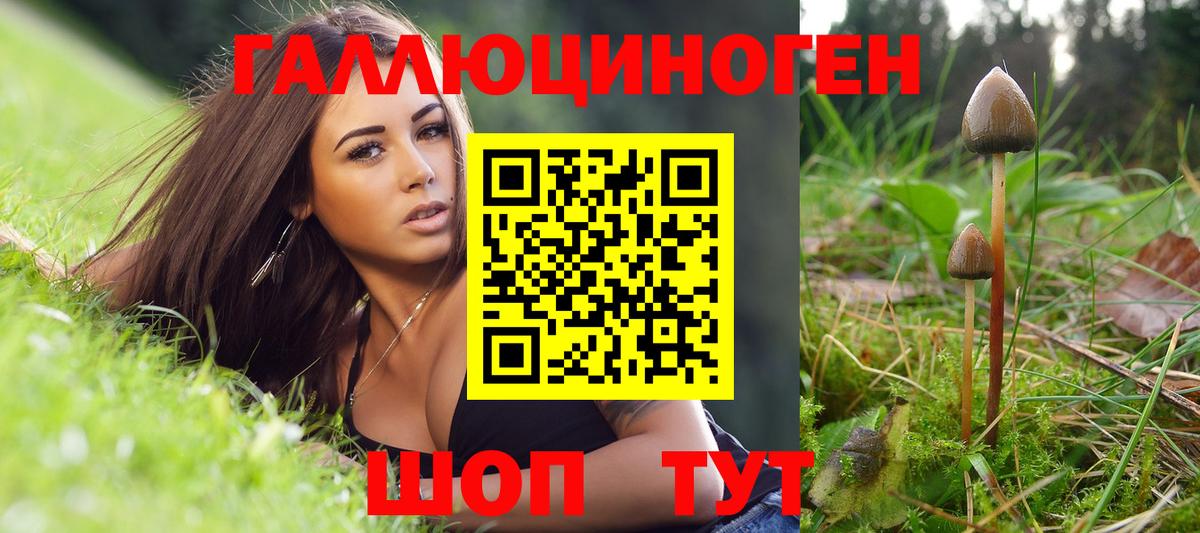Псилоцибиновые грибы Psilocybine cubensis  Галлюциногенные грибы мухоморы  Вход с VPN  Хабаровск 
